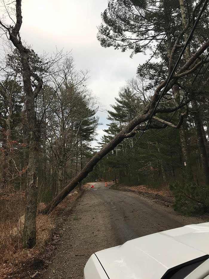 ElecComm - Power Line Storm Response, MA